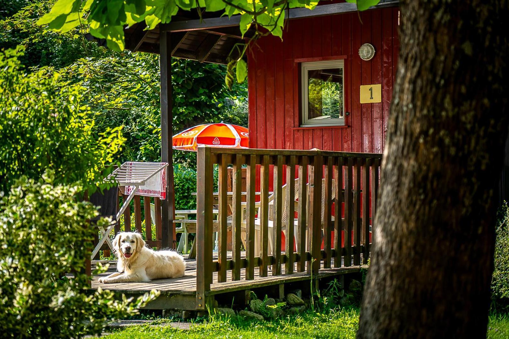 Chalets De La Wormsa Мецерал Екстериор снимка